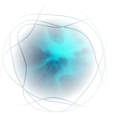 Nexpa